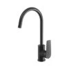 Phoenix Arlo Sink Mixer 200mm Gooseneck Matte Black