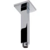 Cuadro Vertical Shower Arm 100mm