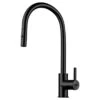 Franke Eos Neo Black Steel Pull-Out Tap